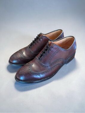 Allen Edmonds Chester Shoes Mens 8.5 Oxblood Burgundy Leather Oxford Wingtip